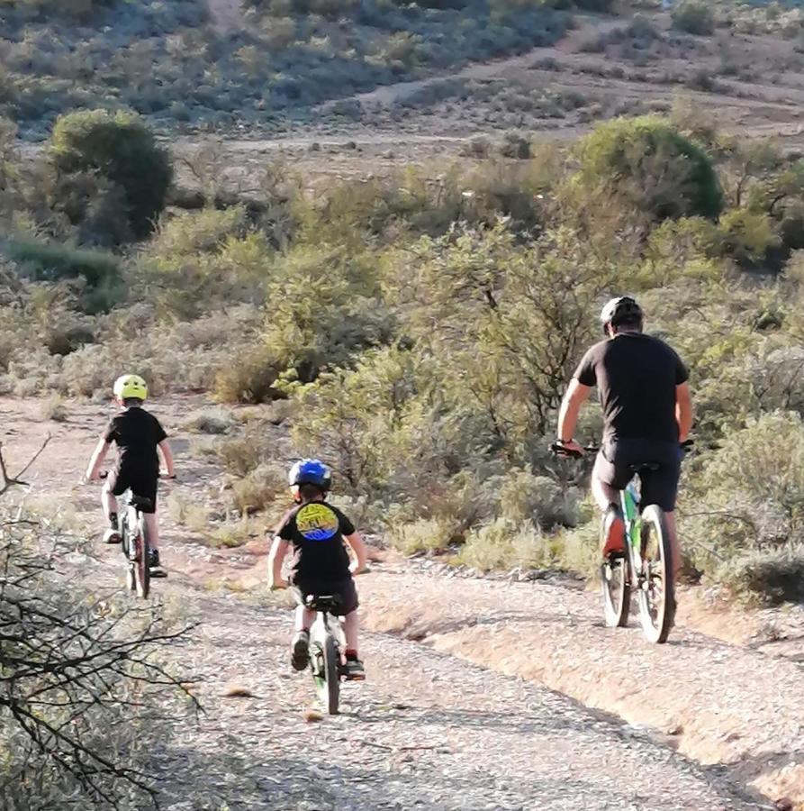 Wilgewandel Holiday Farm & Day Restaurant Oudtshoorn Bagian luar foto