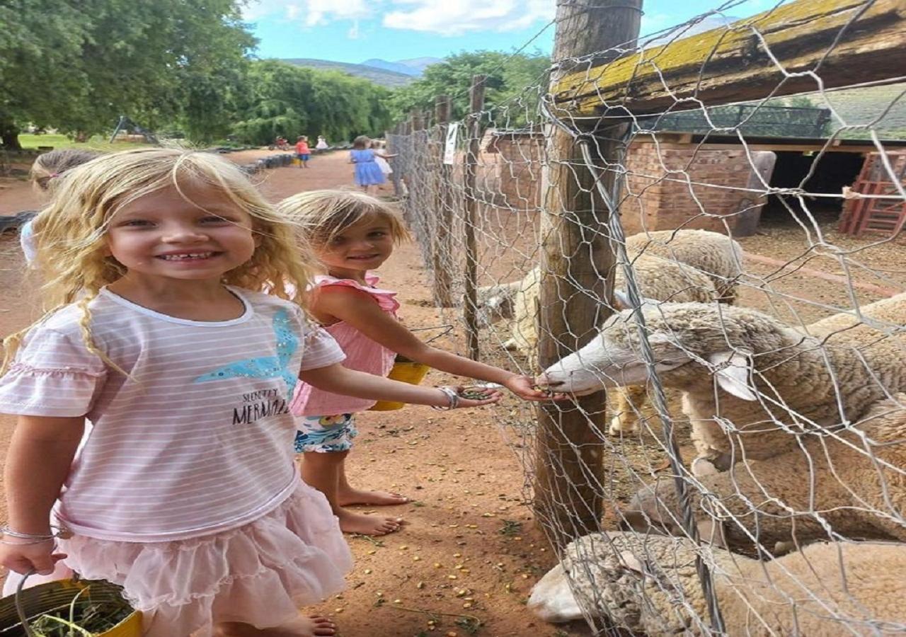 Wilgewandel Holiday Farm & Day Restaurant Oudtshoorn Bagian luar foto