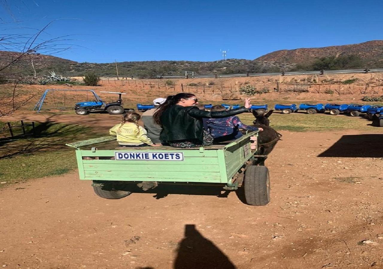 Wilgewandel Holiday Farm & Day Restaurant Oudtshoorn Bagian luar foto