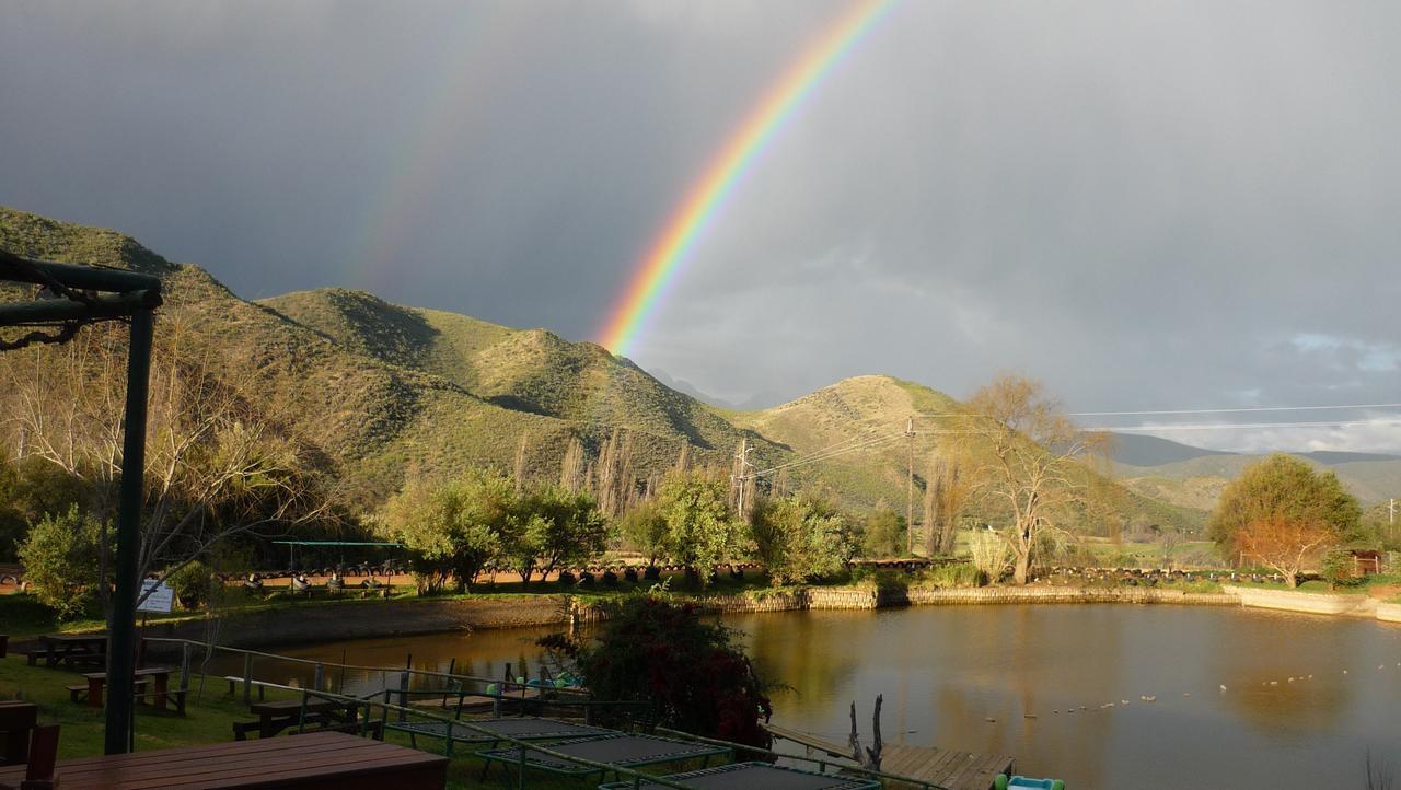 Wilgewandel Holiday Farm & Day Restaurant Oudtshoorn Bagian luar foto