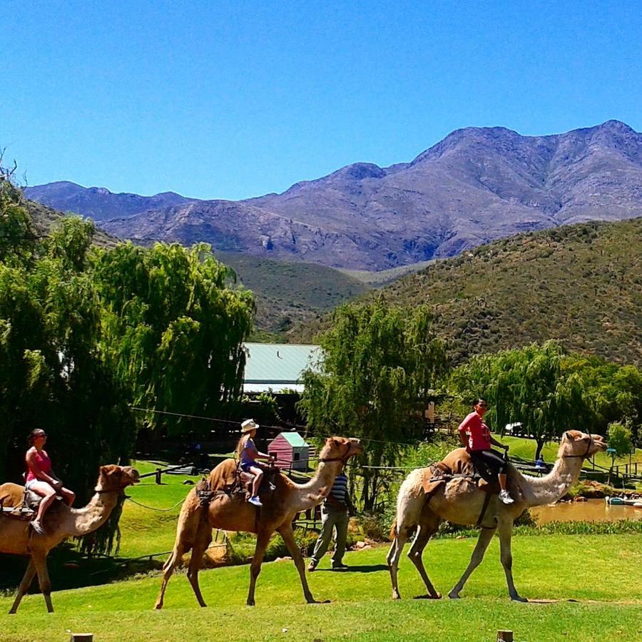 Wilgewandel Holiday Farm & Day Restaurant Oudtshoorn Bagian luar foto