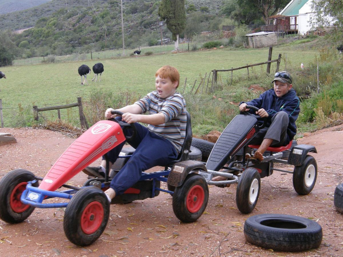 Wilgewandel Holiday Farm & Day Restaurant Oudtshoorn Bagian luar foto