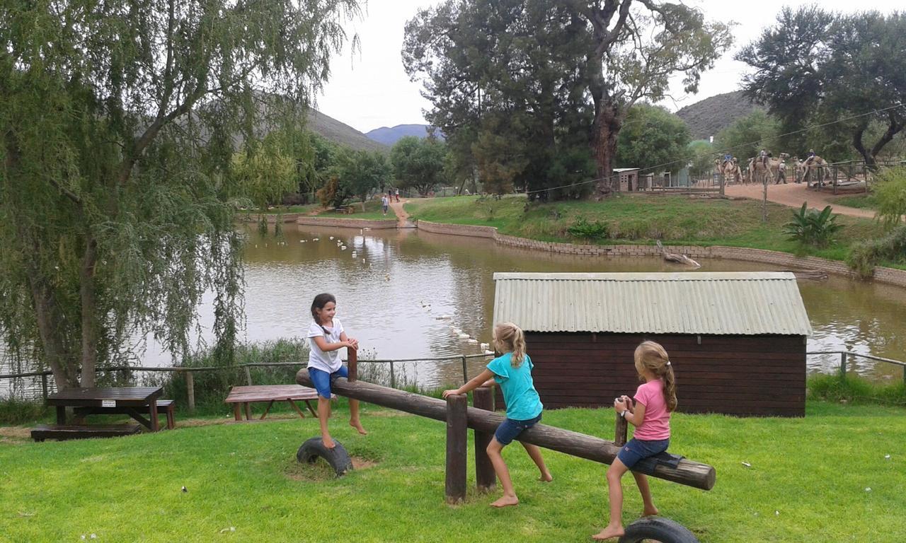 Wilgewandel Holiday Farm & Day Restaurant Oudtshoorn Bagian luar foto