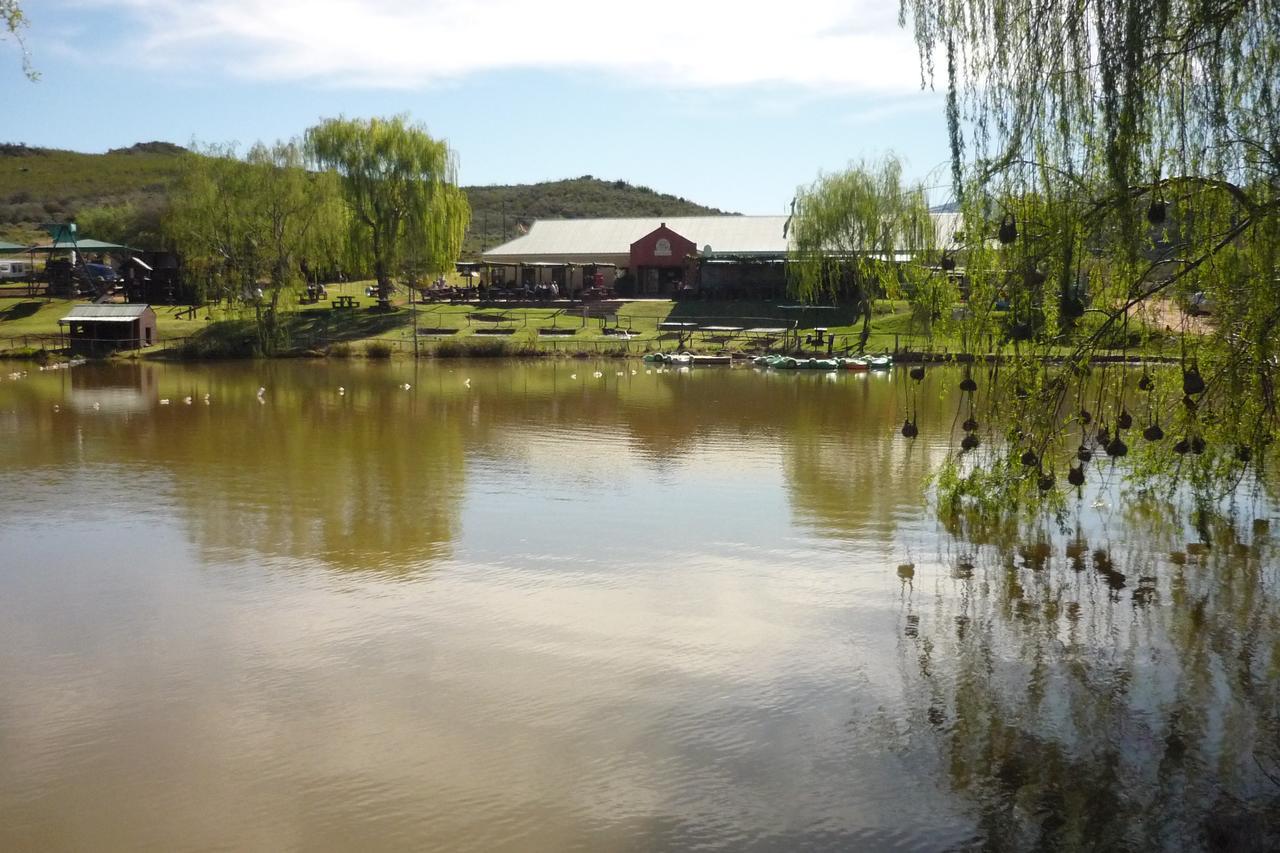 Wilgewandel Holiday Farm & Day Restaurant Oudtshoorn Bagian luar foto