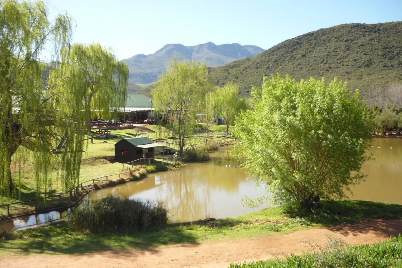 Wilgewandel Holiday Farm & Day Restaurant Oudtshoorn Bagian luar foto